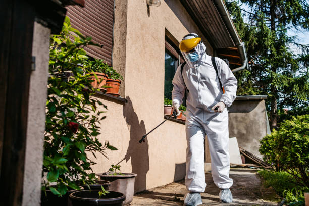 Best Termite Control Services  in Metamora, IL