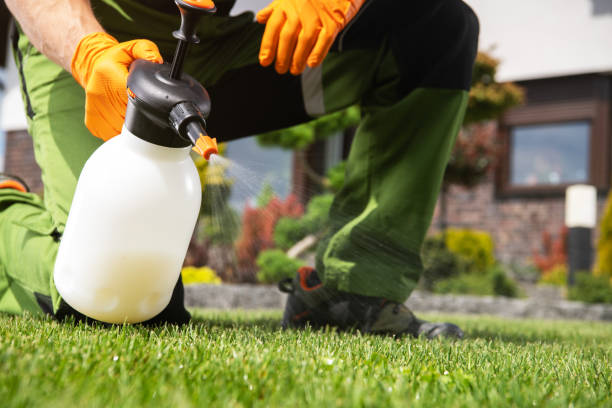 Best Bed Bug Extermination  in Metamora, IL