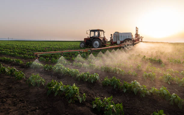 Best Best Pest Control Companies  in Metamora, IL