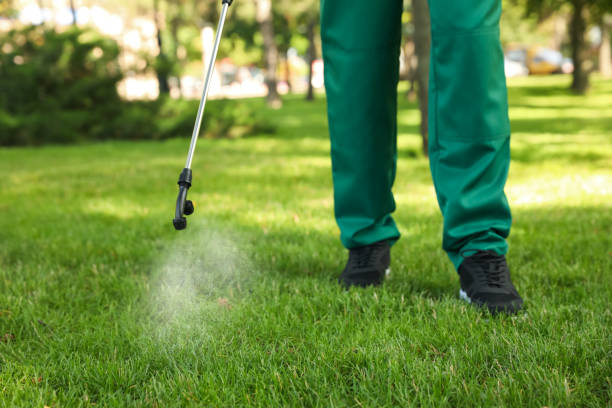 Best Pest Control Near Me in Metamora, IL