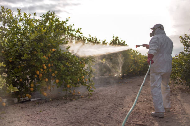 Professional Pest Control in Metamora, IL