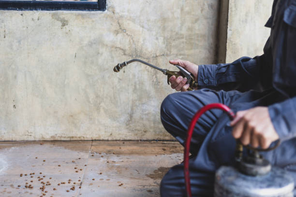 Best Residential Pest Control  in Metamora, IL