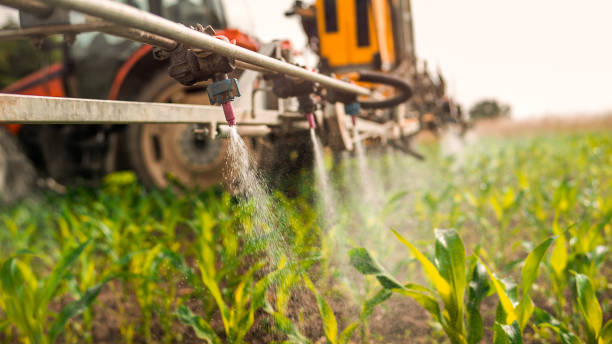 Best Local Pest Control Services  in Metamora, IL